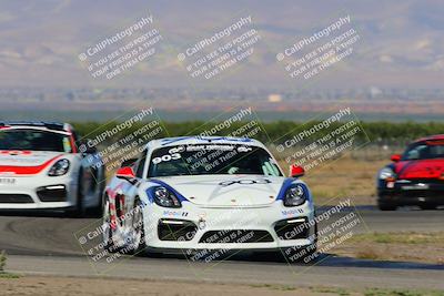 media/May-14-2022-PCA Golden Gate (Sat) [[8ae5da5886]]/Club Race/Session 1 (Outside Grapevine)/